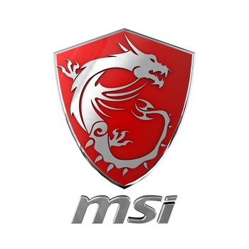 MSI