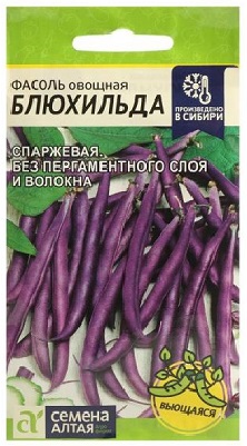 «Блюхильда»