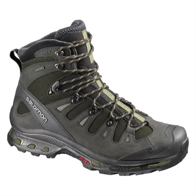 Salomon Quest 4D 2 GTX