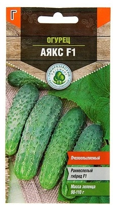 «Аякс F1»