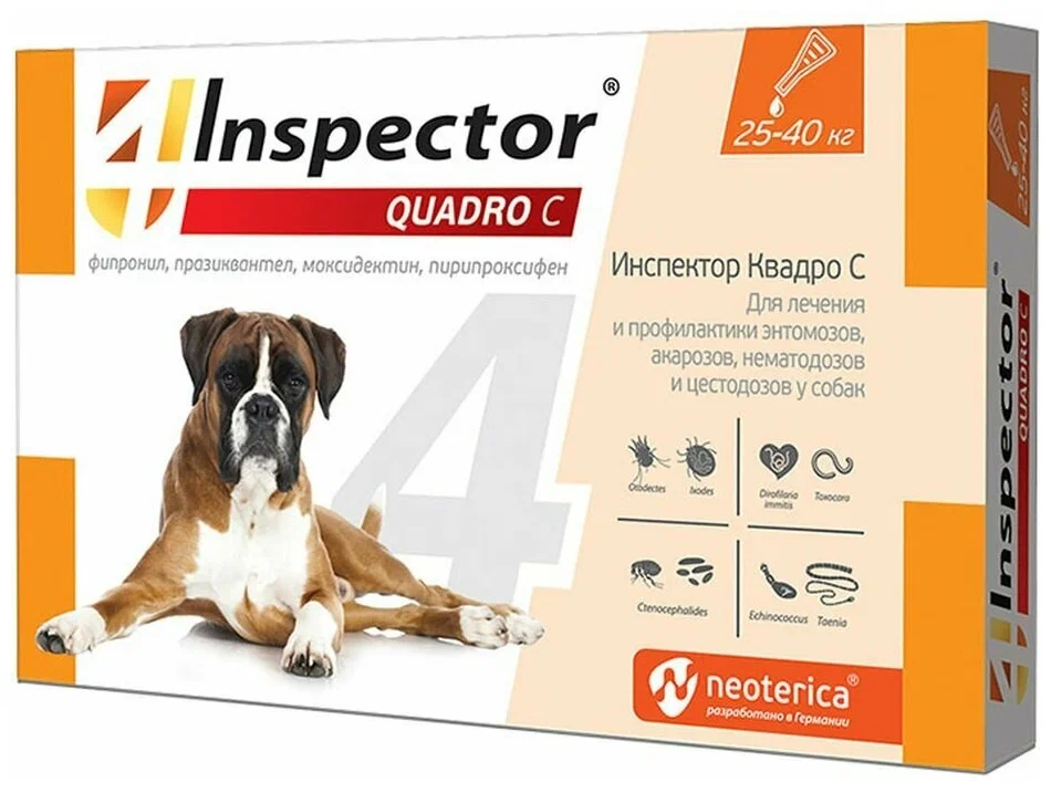 INSPECTOR QUADRO К