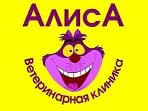 Алиса.webp