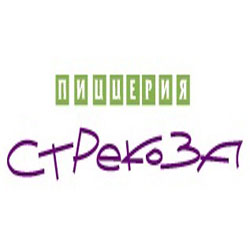 Стрекоза