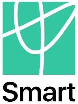 Онлайн институт Smart