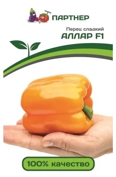 «АлларF1»