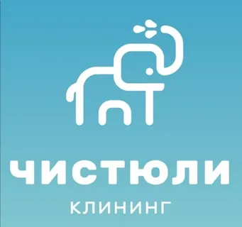 «Чистюли-клининг»