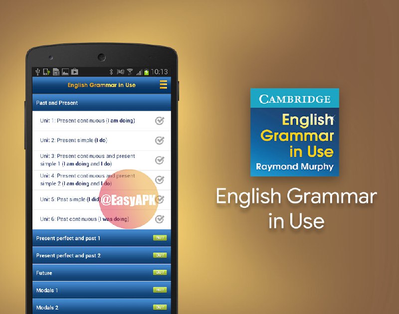 English Grammar in Use Activities