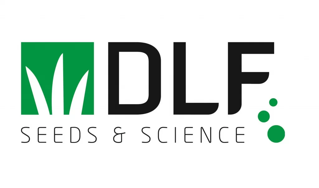 DLF