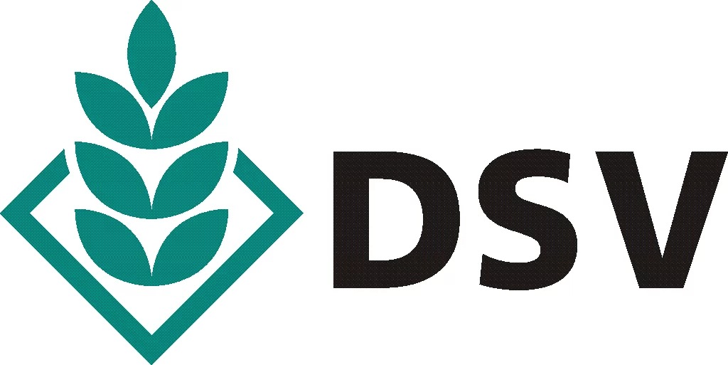 DSV