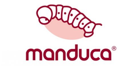 Manduca